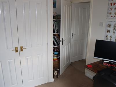 Picture 19